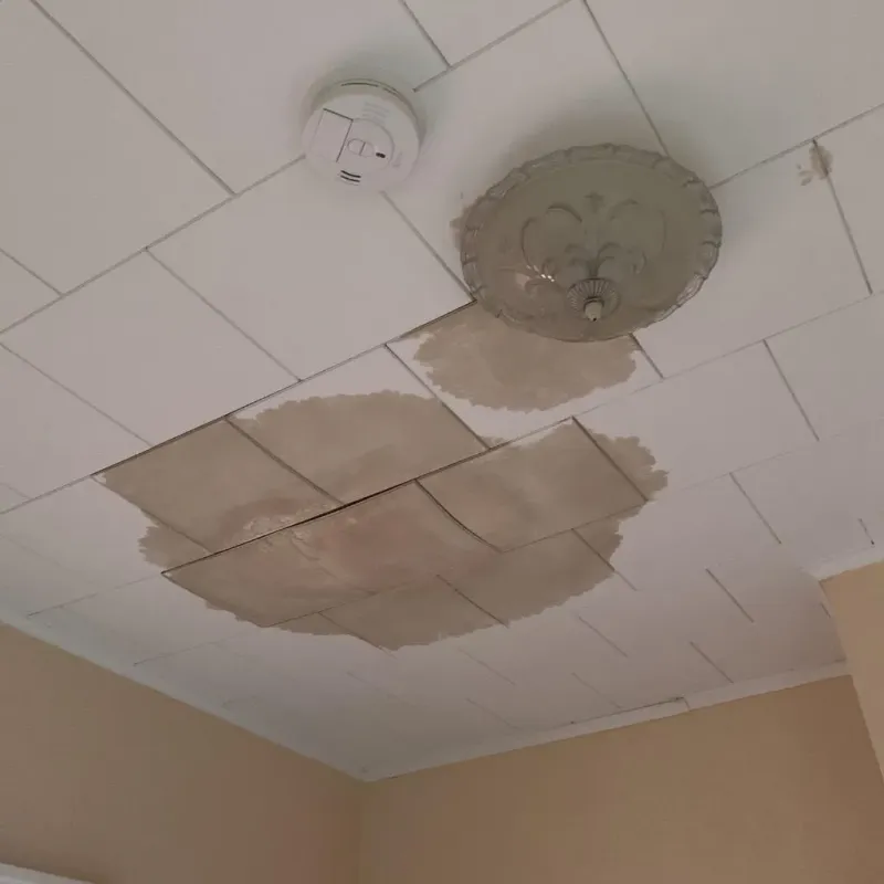 Ceiling Water Damage Repair in Mission District, CA