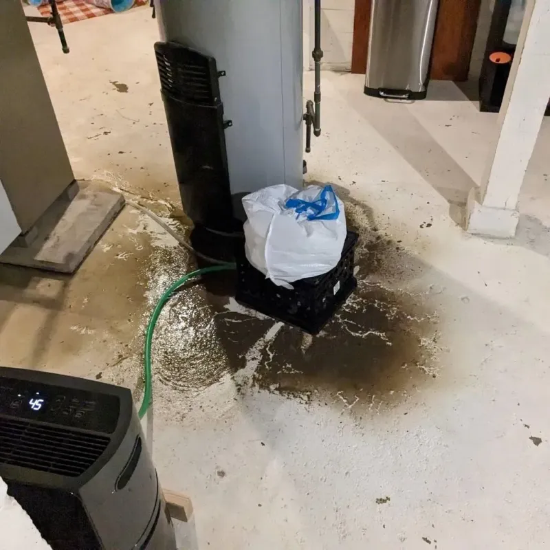 Sewage Backup Cleanup Service in Mission District, CA